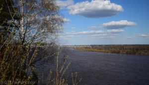 Уровень воды в Вятке около Котельнича начал падать
