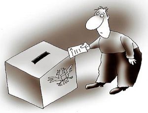 В Котельничском районе проходят выборы