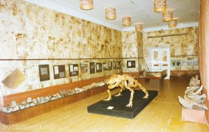 20 лет палеонтологическому музею