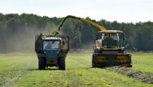 В Котельничском районе завершилась заготовка кормов