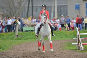 В Котельничском районе прошли соревнования по конному спорту