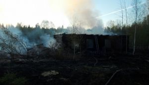 Пожар в Щенниковском