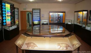 Котельничский палеонтологический музей проводит лотерею