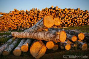 Котельнич купит дров на полтора миллиона