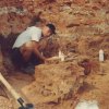 Сотрудник музея В. Масютин производит раскопки парейазавра