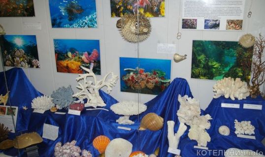 В краеведческом музее работает выставка "Обитатели морей"