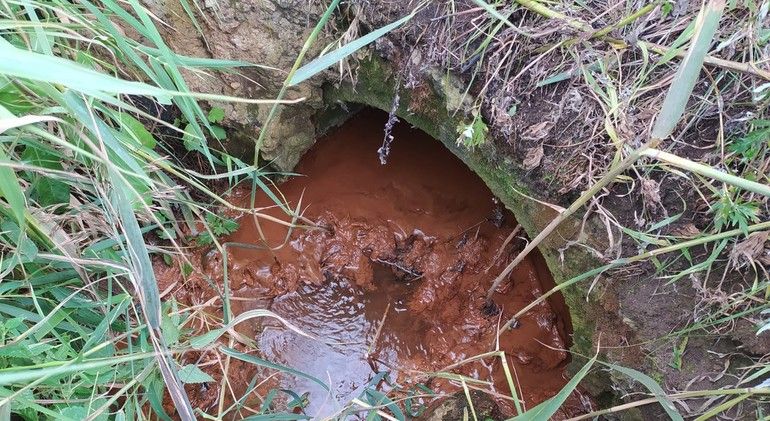 Министерство охраны окружающей среды проводит анализ воды из Черняницы